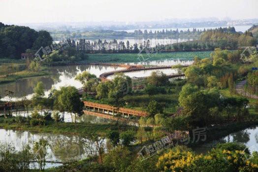 碧桂园生态城·浅月湾|52墅效果图