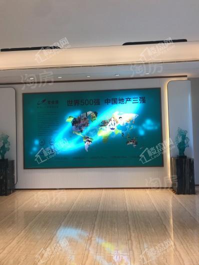 新郑碧桂园双湖城实景图