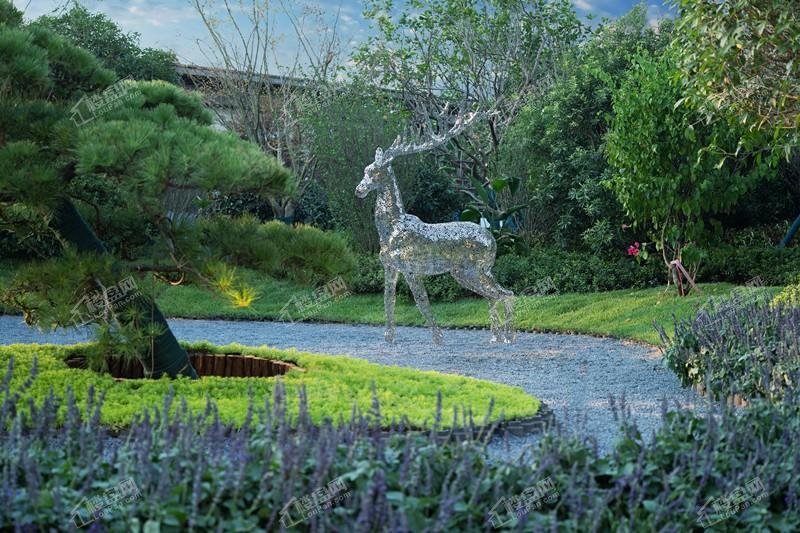 金科·美苑实景图