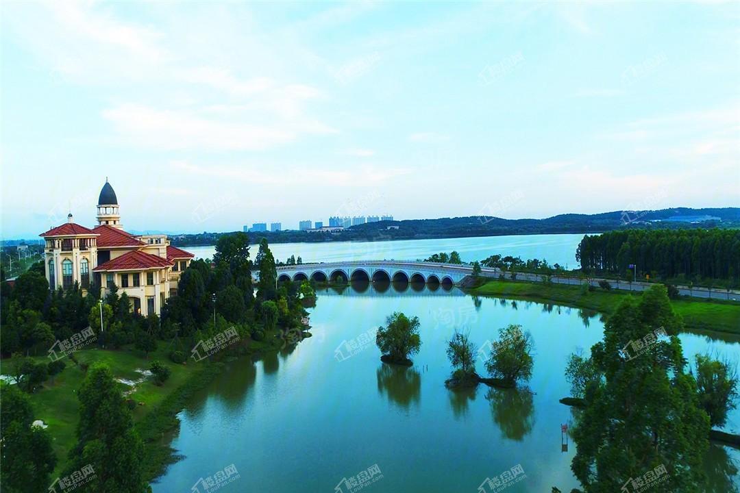 锦绣香江实景图