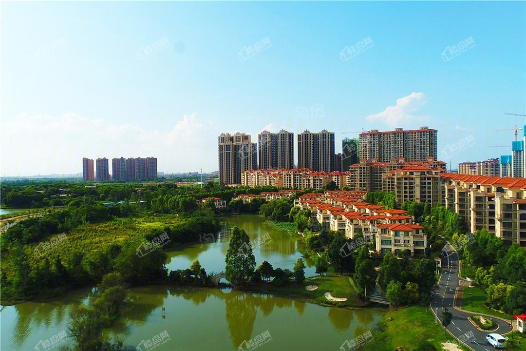 实景图
