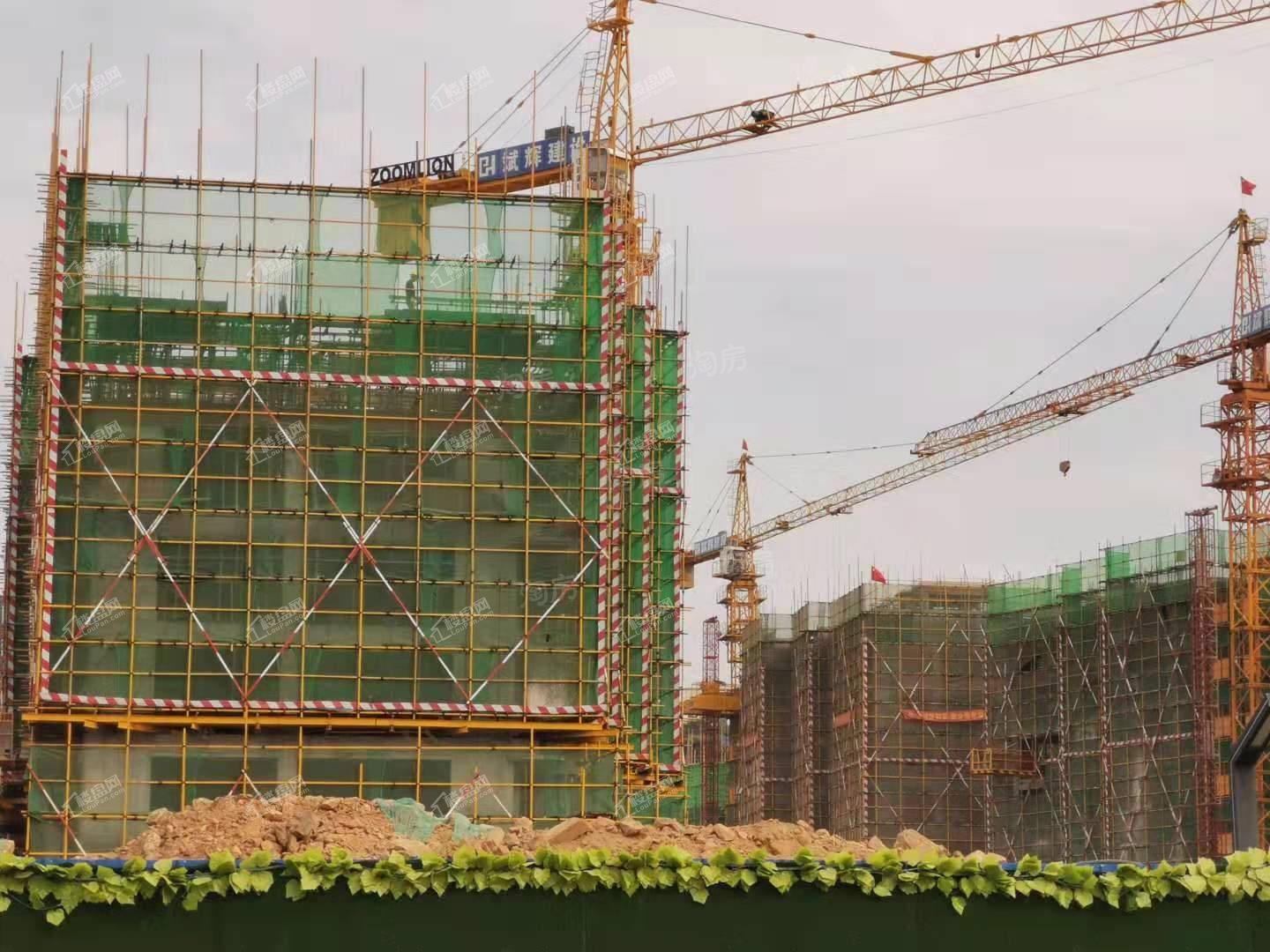 润和·谷山郡实景图
