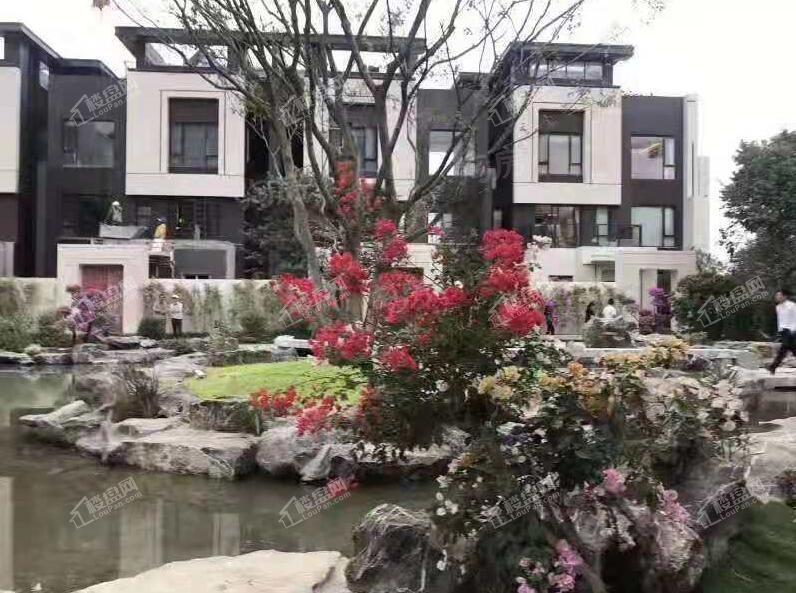 金地香山湖实景图