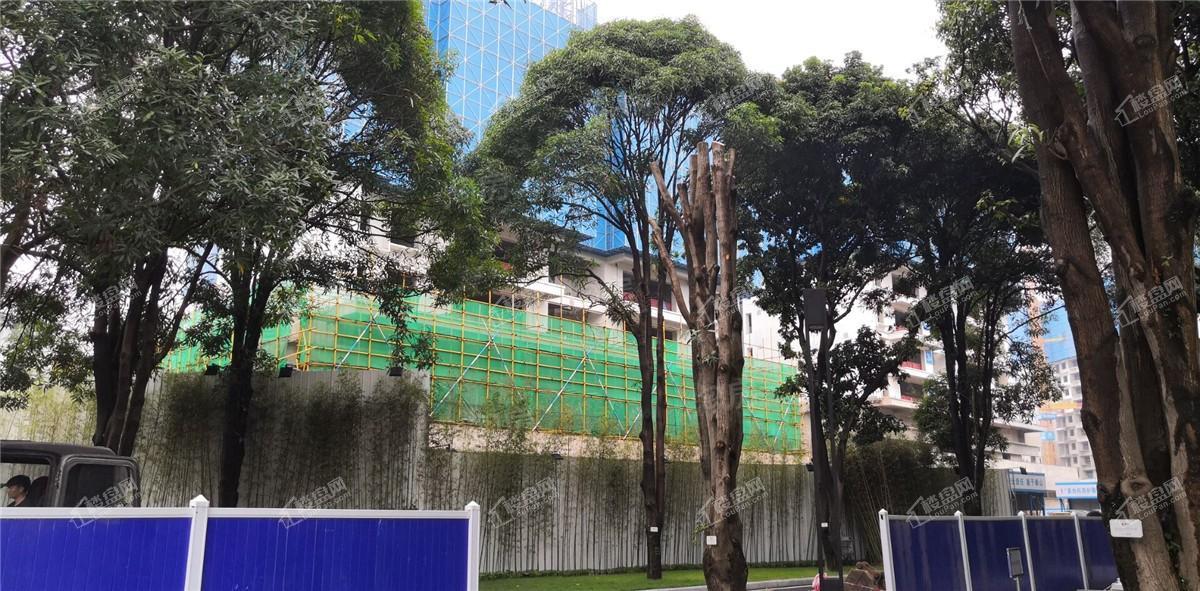 华润置地西园悦府实景图