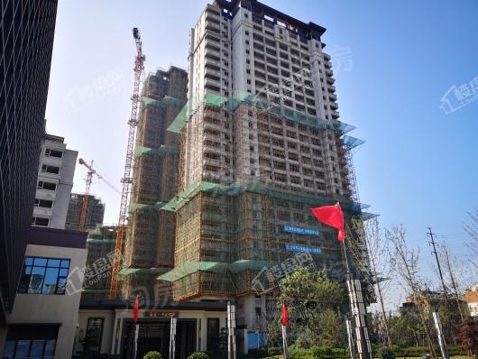 高速中央公园实景图