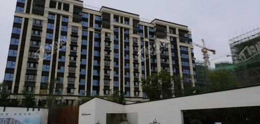 绿都地产少荃府实景图