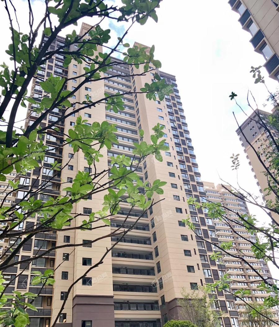 金科观天下实景图