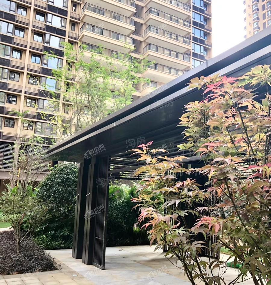 金科观天下实景图