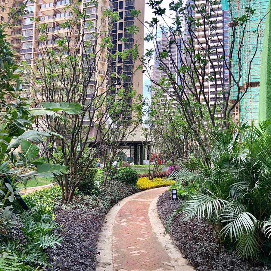 金科观天下实景图