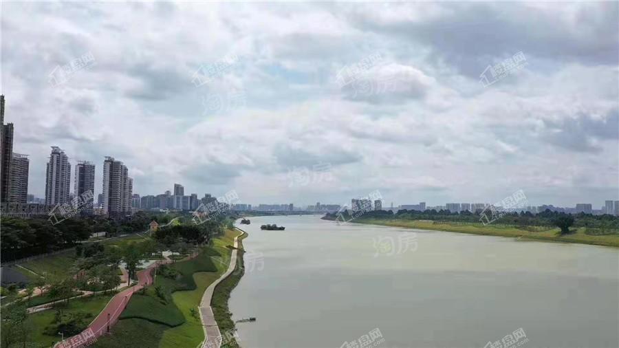 中南春风南岸实景图