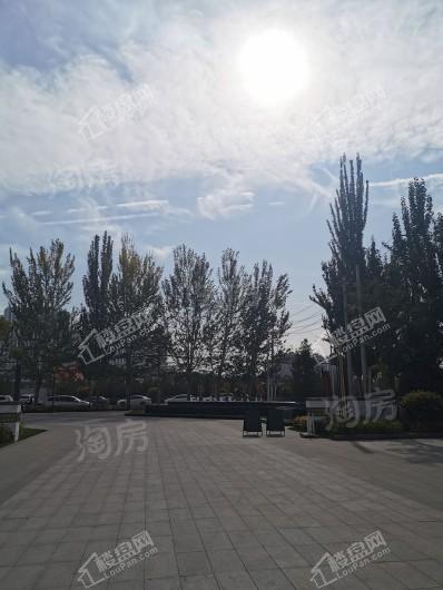 秋实·学院里实景图