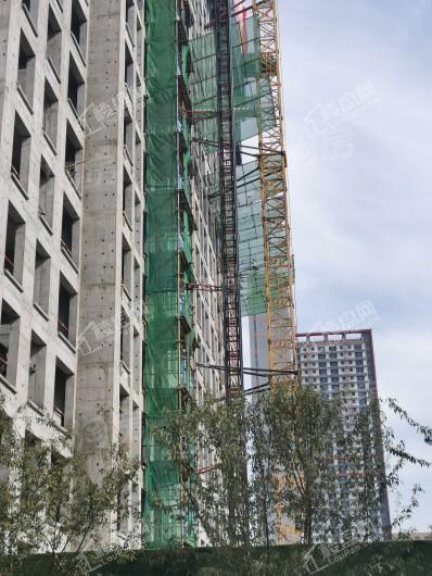 秋实·学院里实景图