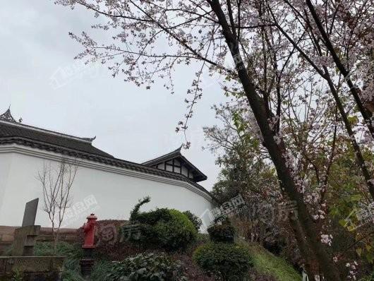 华科蔚来云著配套图