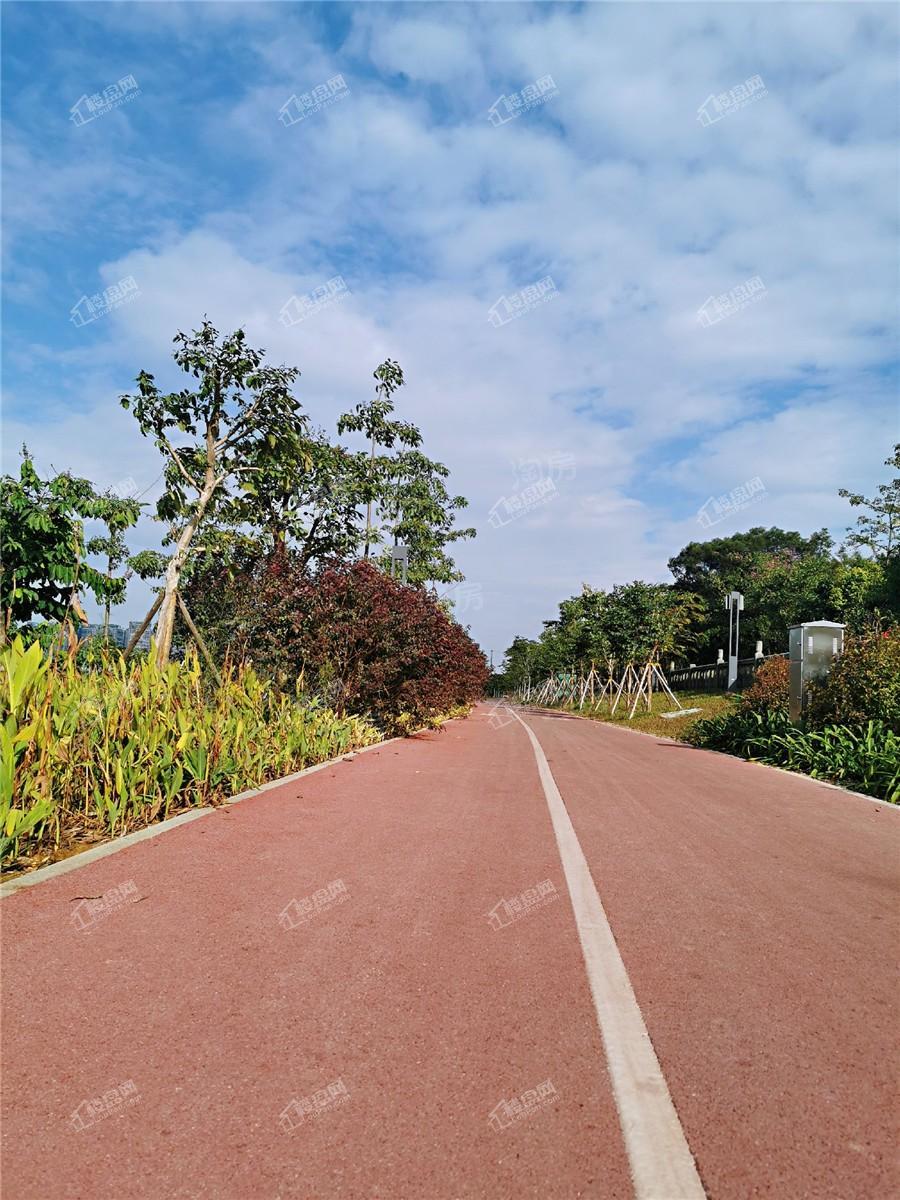 中南春风南岸实景图