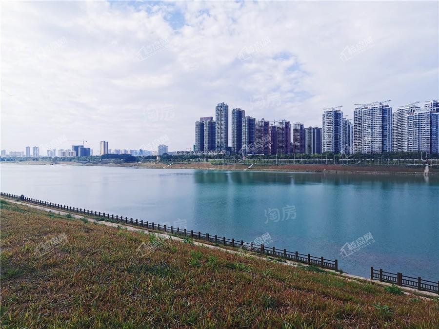 中南春风南岸实景图