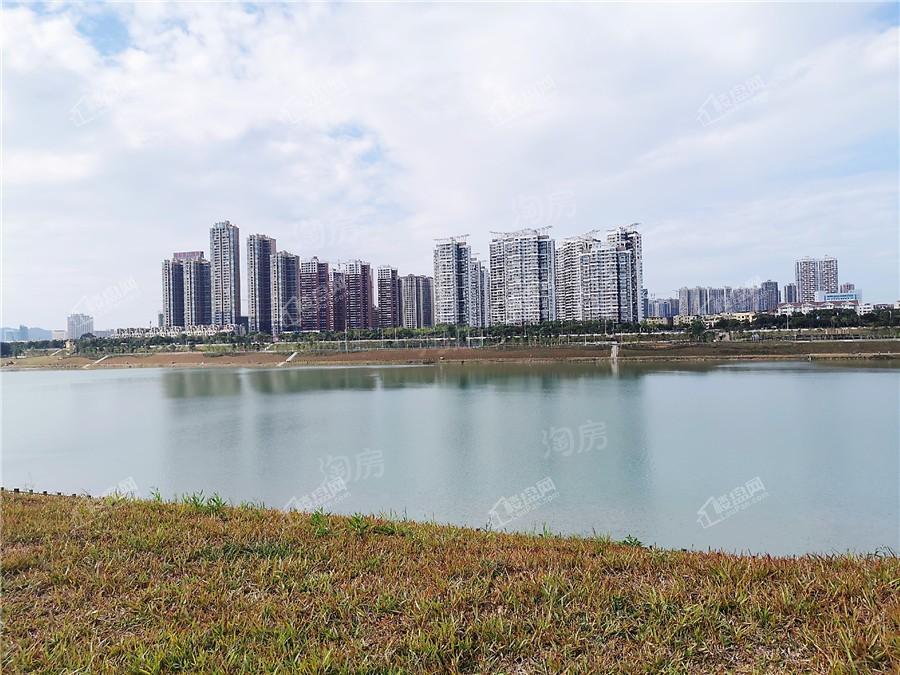 中南春风南岸实景图