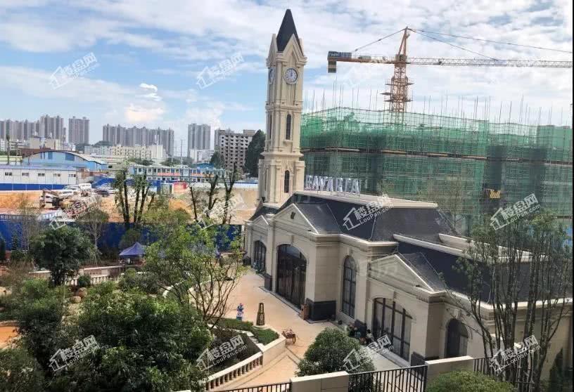 阿尔卑斯实景图