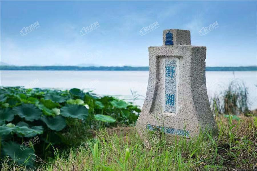 万科保利理想城市实景图
