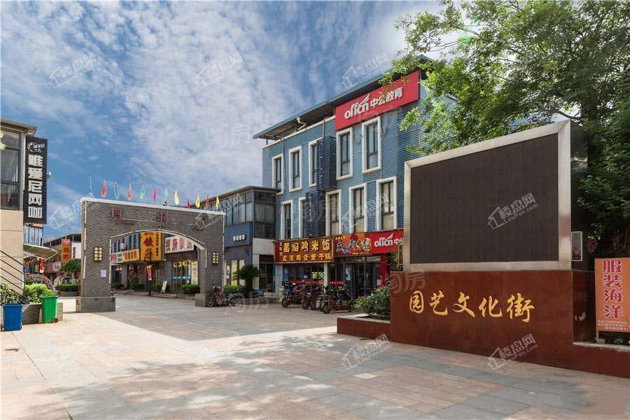 实景图