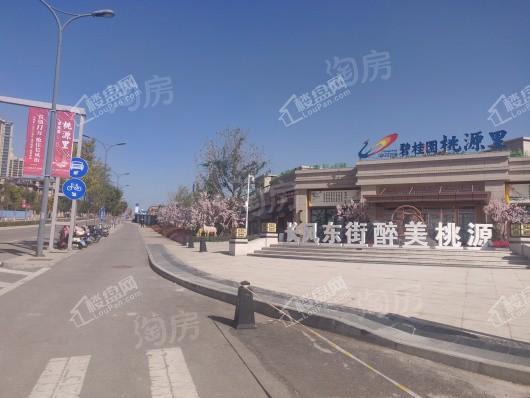 碧桂园桃源里实景图