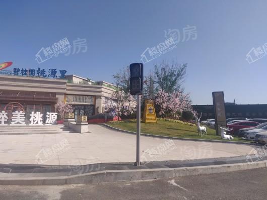 碧桂园桃源里实景图