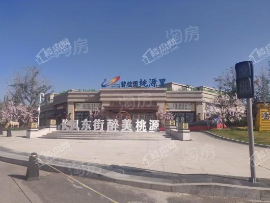 碧桂园桃源里实景图