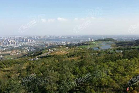 万科春和景明配套图