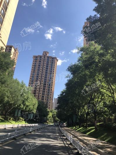 星河湾5号园实景图
