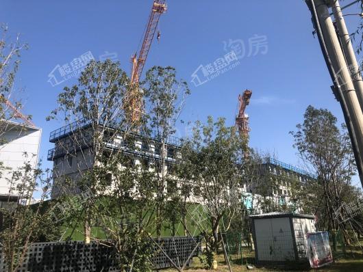 地铁万科·西宸之光实景图