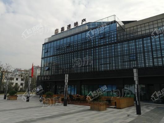 高速中央公园实景图
