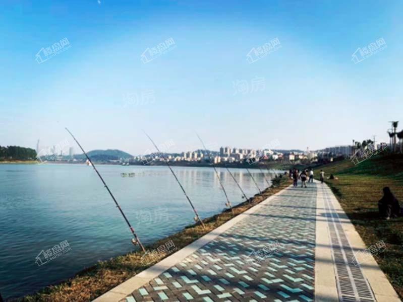 世茂金科博翠江山配套图