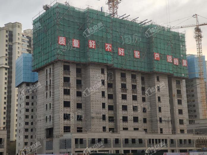 桐楠格·万科公园大道实景图