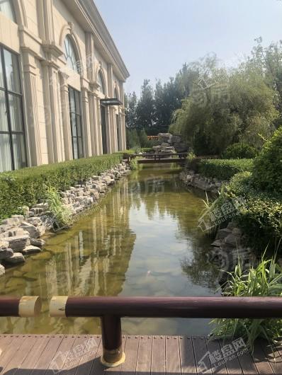 台湖金茂悦实景图