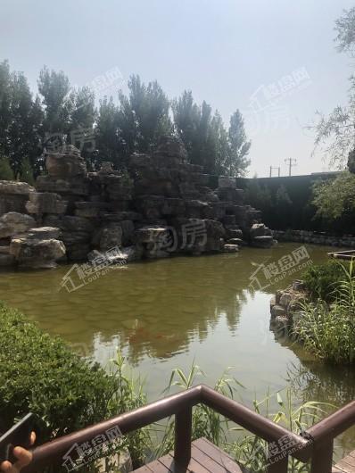 台湖金茂悦实景图