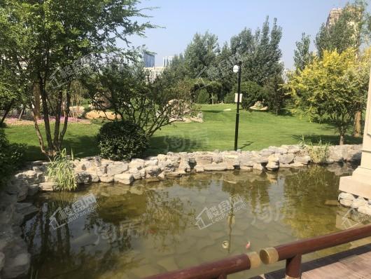 台湖金茂悦实景图