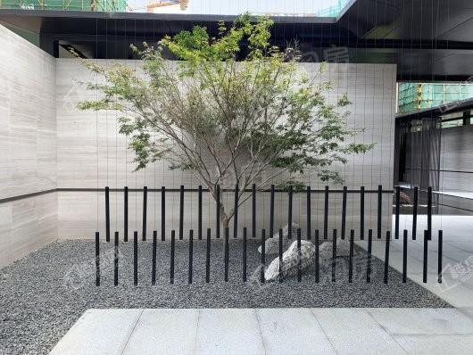 禹洲朗廷湾实景图