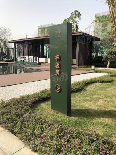 丽丰璞羽山实景图