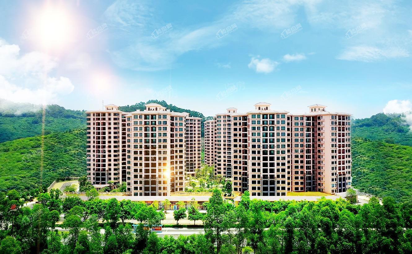 景业东湖洲豪园实景图