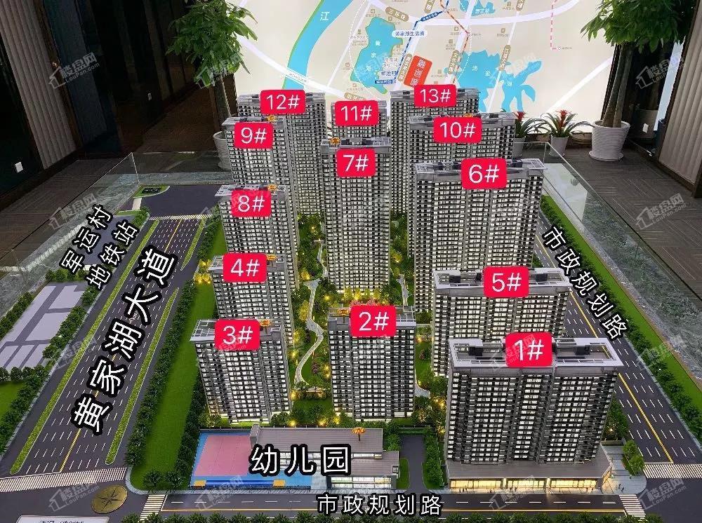 实景图