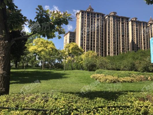 星河湾5号园实景图