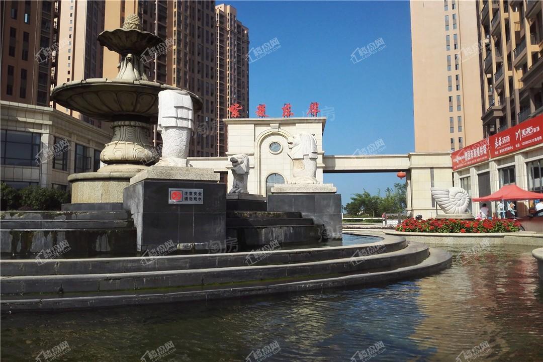 紫菱东岸实景图
