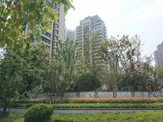 中企滨江悦府实景图