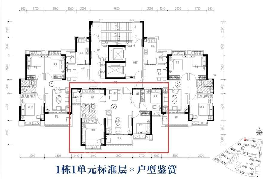 暂无数据