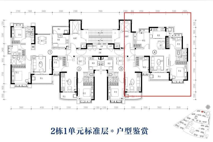 暂无数据