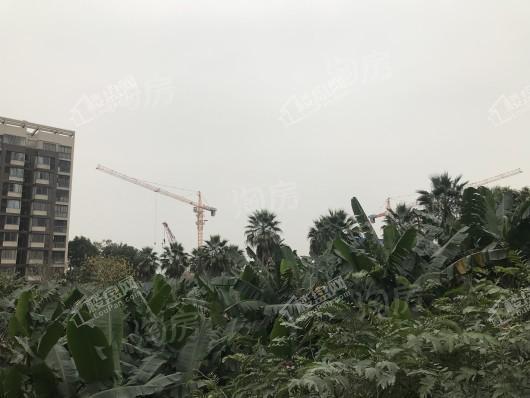 禹洲朗廷湾配套图