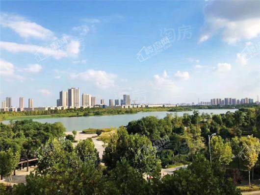 中建·开元御湖公馆实景图