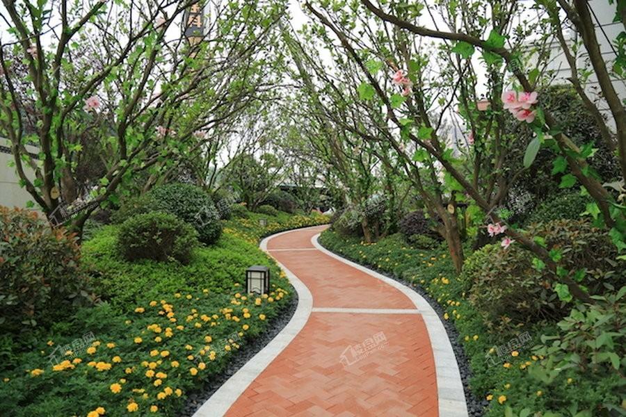 金科集美天宸实景图