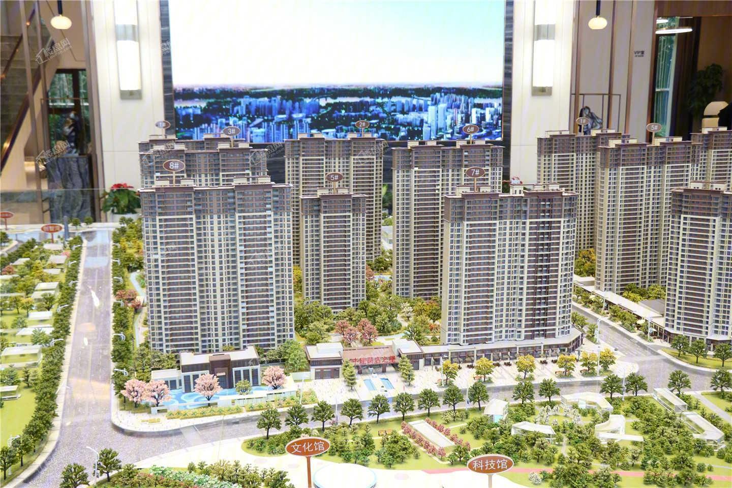 实景图