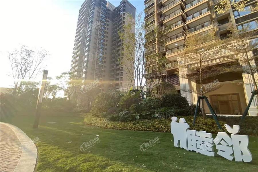 金科观天下实景图