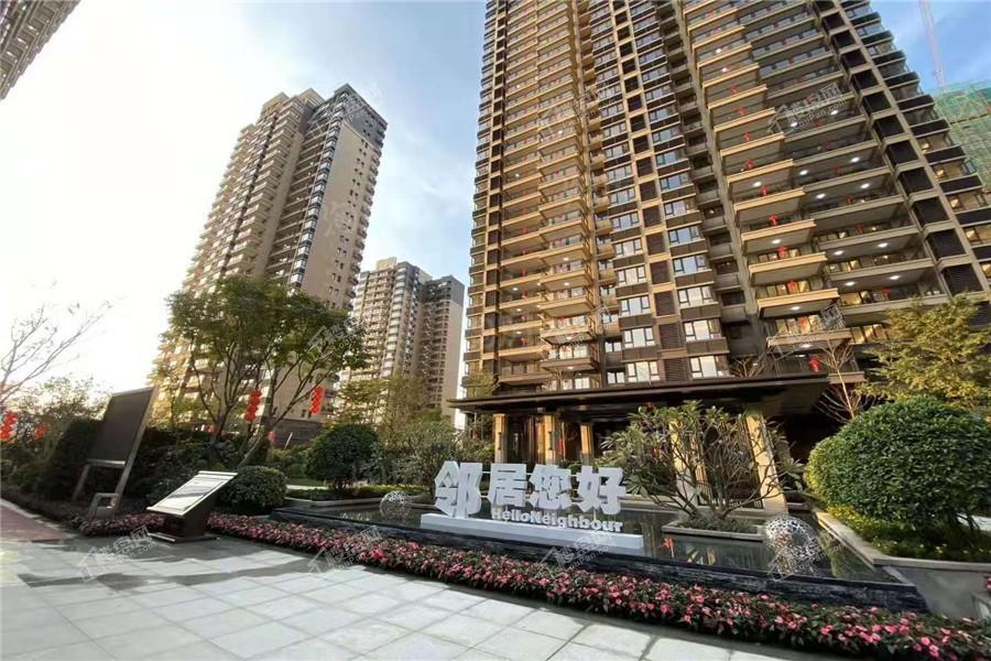 金科观天下实景图